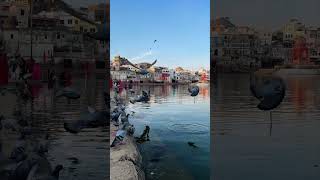 Pushkar lake Rajasthan tourist places malayalam [upl. by Resor]