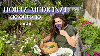 Horta Medicinal  Edição de Outono [upl. by Eiro182]