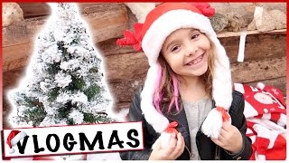 VLOGMAS 4  A la recherche de notre Sapin de Noël  Dimanche en famille [upl. by Tem]