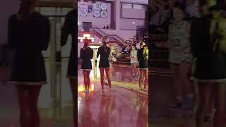 Noblesville Lady Millers Varsity basketball starting player intros vs Homestead 11232024 [upl. by Agneta]