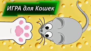 Осторожно МЫШЬ Игра для кошек A game for cats [upl. by Nwotna]