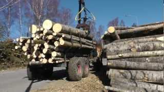 Horse logging Sweden [upl. by Nihi943]