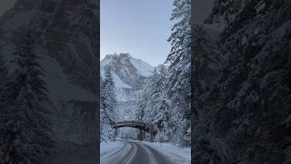 Winter in Switzerland 🇨🇭❄️🥶 youtubeshorts switzerland winter snow [upl. by Sup]