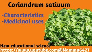 Coriandrum sativum  uses and their charactersNew educational sciencefull video [upl. by Arlyne]