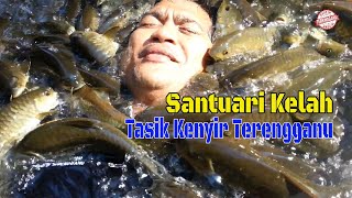 Berenang bersama ikan kelah di Tasik Kenyir [upl. by Rosalinde983]