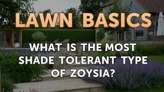 What Is the Most Shade Tolerant Type of Zoysia [upl. by Weinberg346]