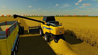 OATS HARVESTING CHALLENGE ONLY NEW HOLLAND COMBINE GNADTHAL FARM FS22 [upl. by Ahseinet]