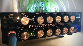 DV Little 250 Tube Clean amp Reverb [upl. by Nilad198]