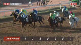 Live Hippodrome « CASABLANCA »  Courses du « 04112024 » [upl. by Ddot487]