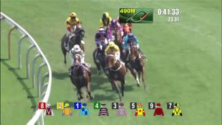 PENIAPHOBIA wins the Sha Tin Vase 2016 [upl. by Panter]