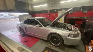 30 Whipple Cobra 818hp 704tq Dyno IG 8specb [upl. by Omsoc]