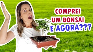 Como cuidar de BONSAI  Dicas para iniciantes  Cuidados básicos [upl. by Bjork]