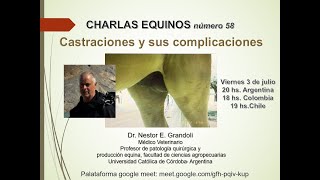 CHARLAS EQUINOS Castraciones y sus complicaciones Dr Nestor Grandoli [upl. by Irrahs680]