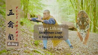 Five Animal Qi Gong 🐯  Tiger Lifting  Strengthen your Liver amp Release Your Anger  Tutorial [upl. by Ycats]