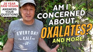 Are You Concerned About Oxalates 28 Year Raw Vegan Answers Your Questions [upl. by Ecirtak7]