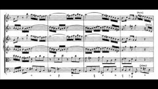 JS Bach  BWV 1043  1 Vivace dmoll  D minor [upl. by Eitsrik927]