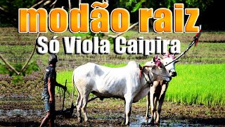 MODÃO DAS ANTIGAS RAIZ SERTANEJO ANTIGO 🌻 MODÃO DE BUTECO RECORDAÇÕES ROMÂNTICAS AS MELHORES [upl. by Inatsed528]