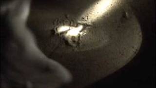 Grunion run at Doheny Beach [upl. by Yanad]