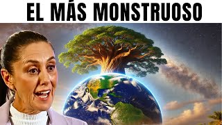 Se Descubre el Árbol Más Grande del Mundo en México ¡Es Monstruoso [upl. by Atirac204]