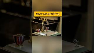 MUSLUK HAKKINDA BİLGİLER  ARAŞTIRMA KEŞİF GÖZLEM BİLGİ [upl. by Wiltsey]