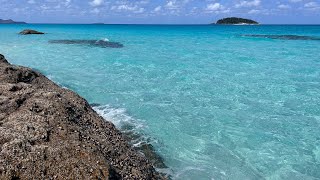 Discover the Most Beautiful White Beaches in the Whitsundays Australia 🏖️✨ shorts [upl. by Aneled667]