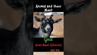 Animals and their Meat  Goat  Goat Meat Chevon [upl. by Annovahs993]