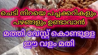 പച്ചക്കറികളും പഴങ്ങളും നിറയെ ഉണ്ടാവാൻ മത്തി വേസ്റ്റ് കൊണ്ട് അടിപൊളി വളം fish amino acid malayalam [upl. by Pierrette]