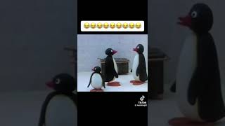 pingu shqip part 1 [upl. by Adnovaj]