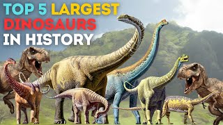 Top 5 Largest Dinosaurs in History [upl. by Evangelia]