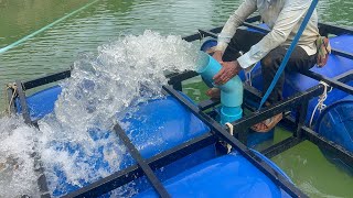 75hp Motor run with solar 450w 18 panels  1h 68m3  setup for durian farm💦💧pipe out 150mm💧 [upl. by Elleuqar59]