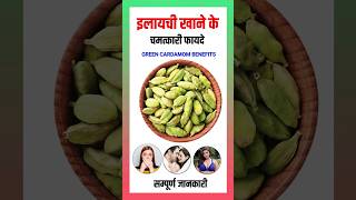 इलायची खाने के फायदे  Elaichi khane ke fayde  Green Cardamom Benefits health healthbenefits [upl. by Anilyx]