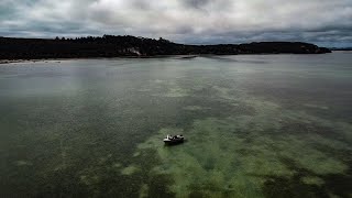 This Place Is So Special  Kingfish Sharks amp Snapper  Fishing NZ [upl. by Naenaj]