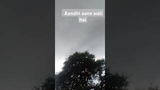 Kalyug mei Aandhi aane wali haiBPachayavlocks सुनो adiwasivlog sortsvlog djsong [upl. by Frankhouse]