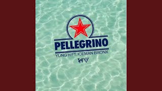 Pellegrino [upl. by Enial]