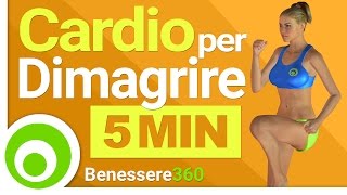 Allenamento Cardio di 5 Minuti per Bruciare Grasso e Dimagrire la Pancia [upl. by Ydennek]