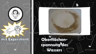 Oberflächenspannung des Wassers DIY  Experiment mit Wasser Pfeffer amp Spülmittel [upl. by Wilkens966]