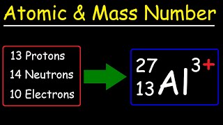 Atomic Number Mass Number and Net Electric Charge [upl. by Sklar624]