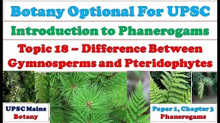 Gymnosperms and Pteridophytes Difference Between Gymnosperms and Pteridophytes Seed vs Non Seed [upl. by Erde]