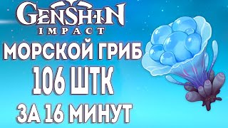 МОРСКОЙ ГРИБ sea ganoderma ► Genshin Impact Маршрут Guide [upl. by Idrahs]