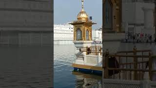 Bohat janam bichre they madho🙏🙏trending darbarsahib love wmk goldentemple [upl. by Calv]