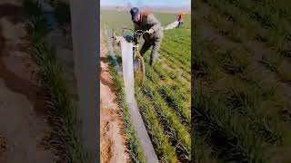 Transparent irrigation hose recycling process [upl. by Dnomde]