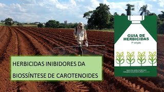 MECANISMO DE AÇÃO BIOSSÍNTESE DE CAROTENOIDES [upl. by Aisat466]