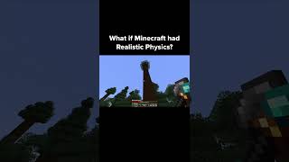 What If Minecraft Had Realistic Physics [upl. by Zorana]