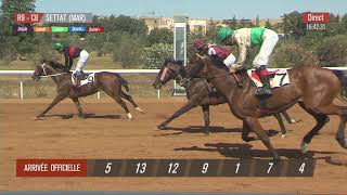 Live Hippodrome « SETTAT »  Courses du « 13052023 » [upl. by Muriel528]