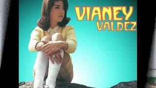 Vianey Valdez  Amarga Realidad [upl. by Okimuy]