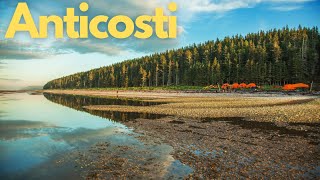 Discovering Anticosti Island A Fossil Treasure in Canada [upl. by Javier14]