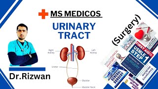 Urinary TractAnatomySurgeryMS MedicosDr RizwanUrdu Hindi Easy Explanations [upl. by Ecertal]