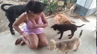 Beautiful Girl Playing With Smart Dog amp Funny Dog 4 [upl. by Jeromy]