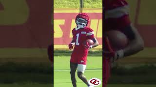 First Look At Rookies Louis ReesZammit amp Xavier Worthy At Chiefs Training Camp Shorts short [upl. by Narah]