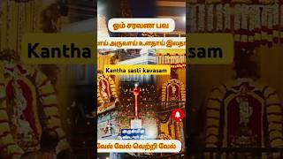 Karpanai endralum revivalkantha sasti kavasam shortsviral tamil youtube shorts viralsong 🙏🦚🎇🌧️ [upl. by Nitsu327]